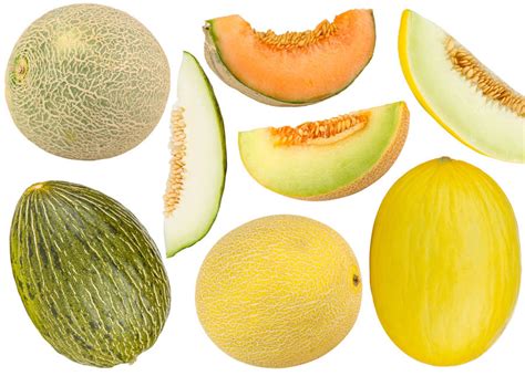 melonstu|Melons Types